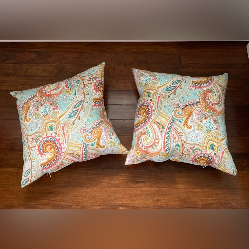 Two Paisley Pillows